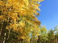 Color around every corner!